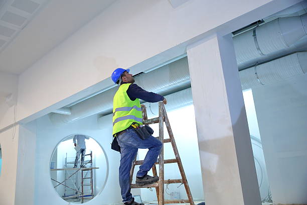 Best Interior Painting  in Royalton, IL